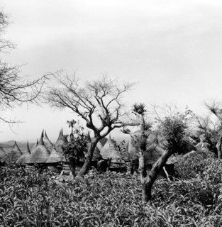 Village du pays Matakam, dans le nord du Cameroun