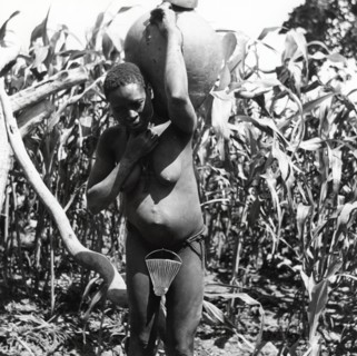 Femme Matakam effectuant des travaux agricoles, dans le nord du Cameroun