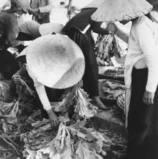 Marché de Haïphong, dans la région du Tonkin, en Indochine