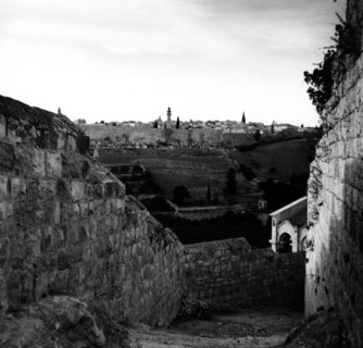 Vue du Mont des Oliviers à Jérusalem, en Palestine