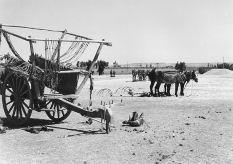 Scène agricole à Fromista, dans la province de Vieille Castille, en Espagne