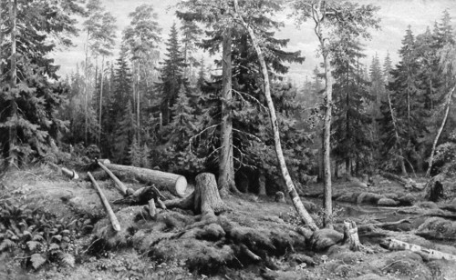 Shishkin, Cutting wood