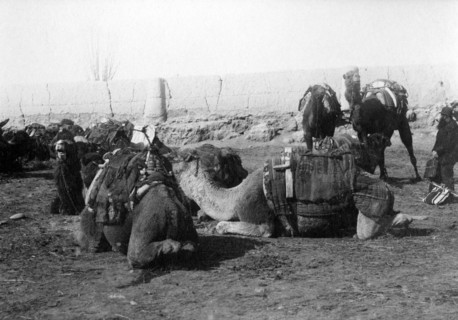 Samarcande, Caravane au repos