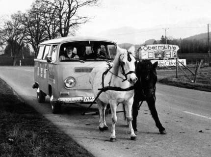 Chevaux remorquant un minibus Volkswagen