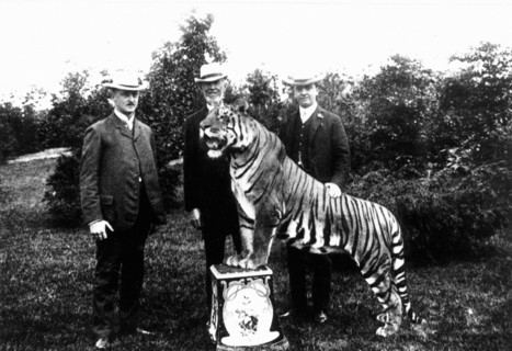 Carl Hagenbeck et ses fils