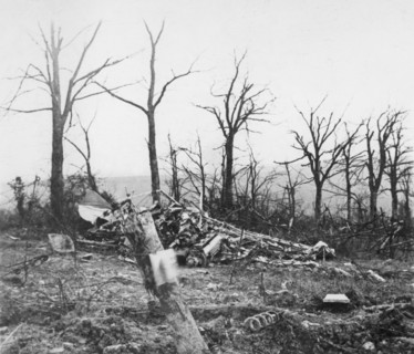 Un avion de guerre abattu en France, vers 1916
