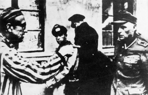 Libération du camp de concentration d'Auschwitz-Birkenau