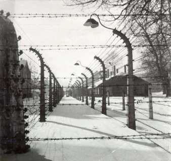 Clôture électrifiée au camp de concentration d'Auschwitz-Birkenau