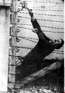 Suicide d'un prisonnier dans un un camp de concentration nazi