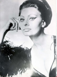 Sophia Loren