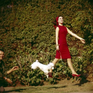 Natalie WOOD with poodle during filming