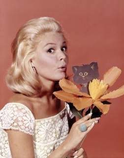 Sandra DEE