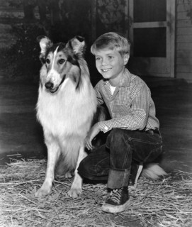TV series "Lassie", 1961