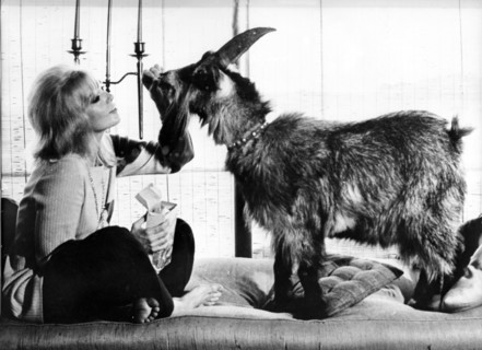 Kim NOVAK with her billy goat 'Creature'