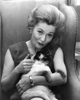 Joan FONTAINE with cat