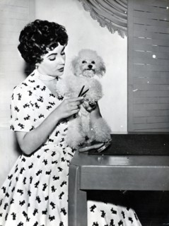 Elizabeth TAYLOR with poodle, 1952