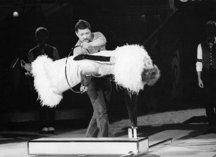 Rainer Werner FASSBINDER, Hanna SCHYGULLA, "Stars in the ring" 1980
