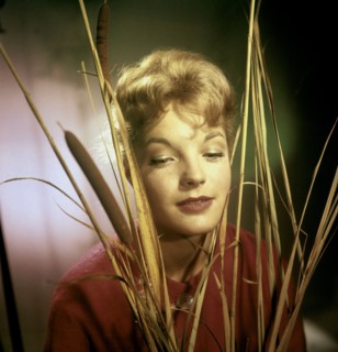 Romy SCHNEIDER, portrait