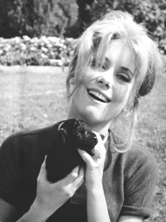 Catherine DENEUVE with puppies