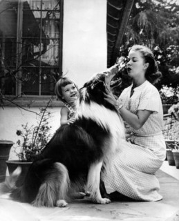 Shirley TEMPLE with daughter Linda and her dog