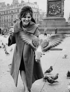 Claudia CARDINALE feeds pigeons in Trafalgar Square, London