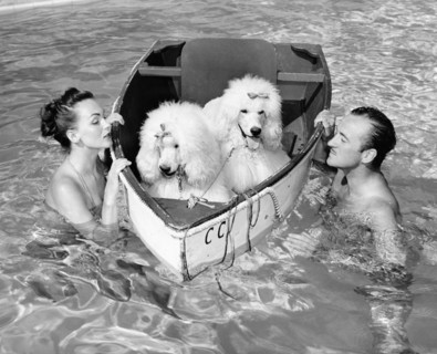 David NIVEN with his wife Hjordis and their two dogs