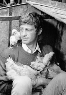 Jean-Paul BELMONDO with chickens