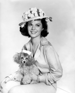 Natalie WOOD with her poodle 'Mimi', 1964