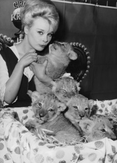 Elke SOMMER with lion cubs