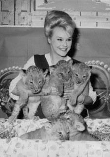 Elke SOMMER with lion cubs