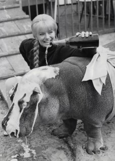 Karin BAAL baptizes a hippopotamus, 1965