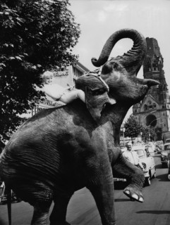 Karin BAAL rides an elephant