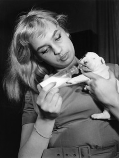 Barbara VALENTN with puppies