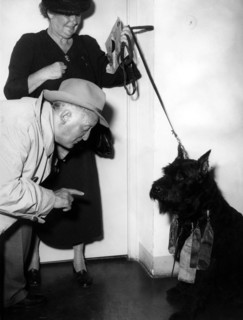 Hans ALBERS and the dog Saphir von Schwenzenhorst