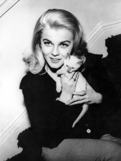 ANN MARGRET, 1964