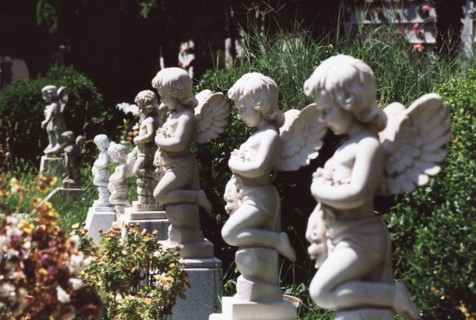 Children's cemetery of San Michele in Venice.