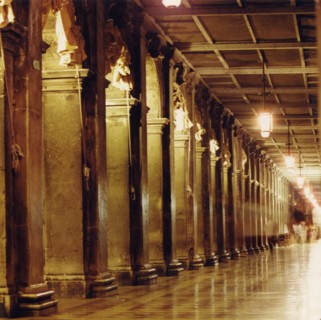 The New Procuraties in Venice.