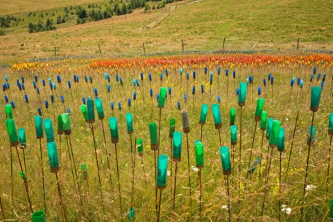B3HJ37 A Laetitia Carlotti's Land Art work. Installation de Land Art realisee par l'artiste