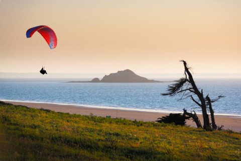 Solitary paraglider during sunset at shore side