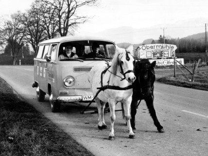 Alternate ways of transport - two horses pulling a Volkswagen