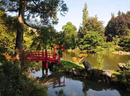 stunning view of Japanese garden in France