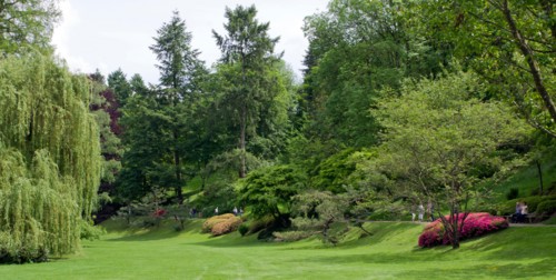 Parc Oriental de Maulevrier