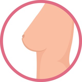 torso of a woman icon