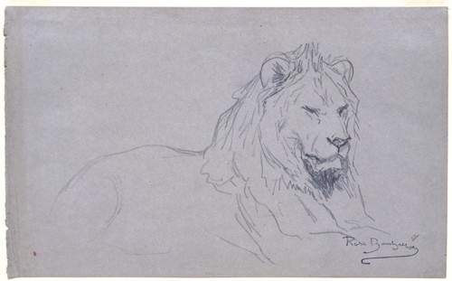Rosa Bonheur, French, 1822–1899, Study of a Lion's Head, 1832–1899, Pencil on gray wove paper, Overall: 6 9/16 x 10 11/16 in. (16.6 x 27.1 cm