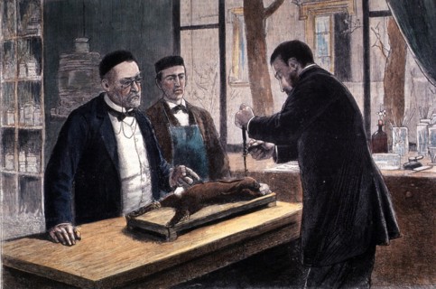 Louis Pasteur, French Chemist and Bacteriologist