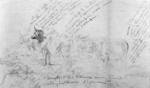 Rosa Bonheur - Sketch of Five Bulls with Color Notes - Walters 372365