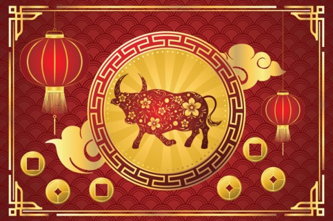 Chinese new year card with bull and flowers illustration.