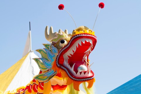 Chinese dragon for Chinese new year