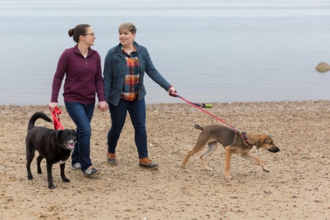 Same sex female couple holding hands walking dogs on Cape Cod beach