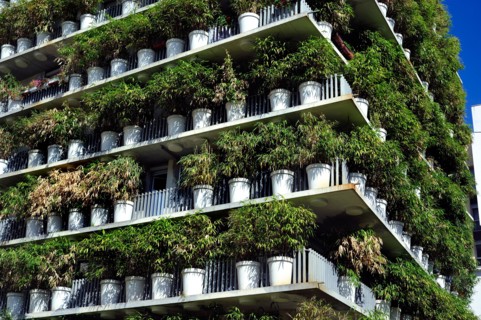 Paris, France, Green Neighborhood "Tower Flower" Apartment Tower, Architectural Detail, "Clichy Batignolles" Building Day Green walls buildings,